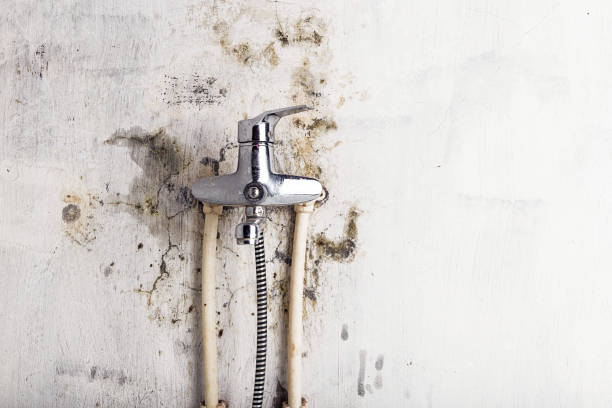 Best Residential Mold Remediation in Clayton, IN