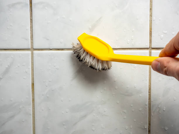 Best Residential Mold Remediation in Clayton, IN