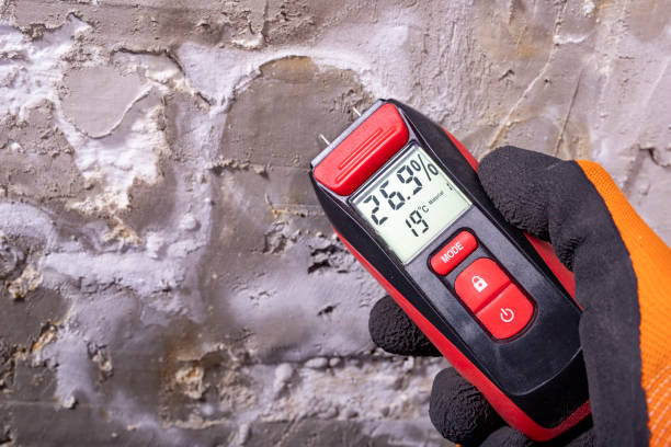 Best Commercial Mold Remediation in Clayton, IN