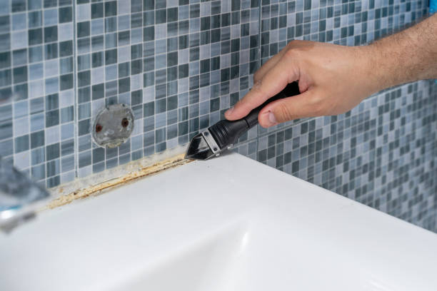 Best Health and Safety Mold Remediation in Clayton, IN